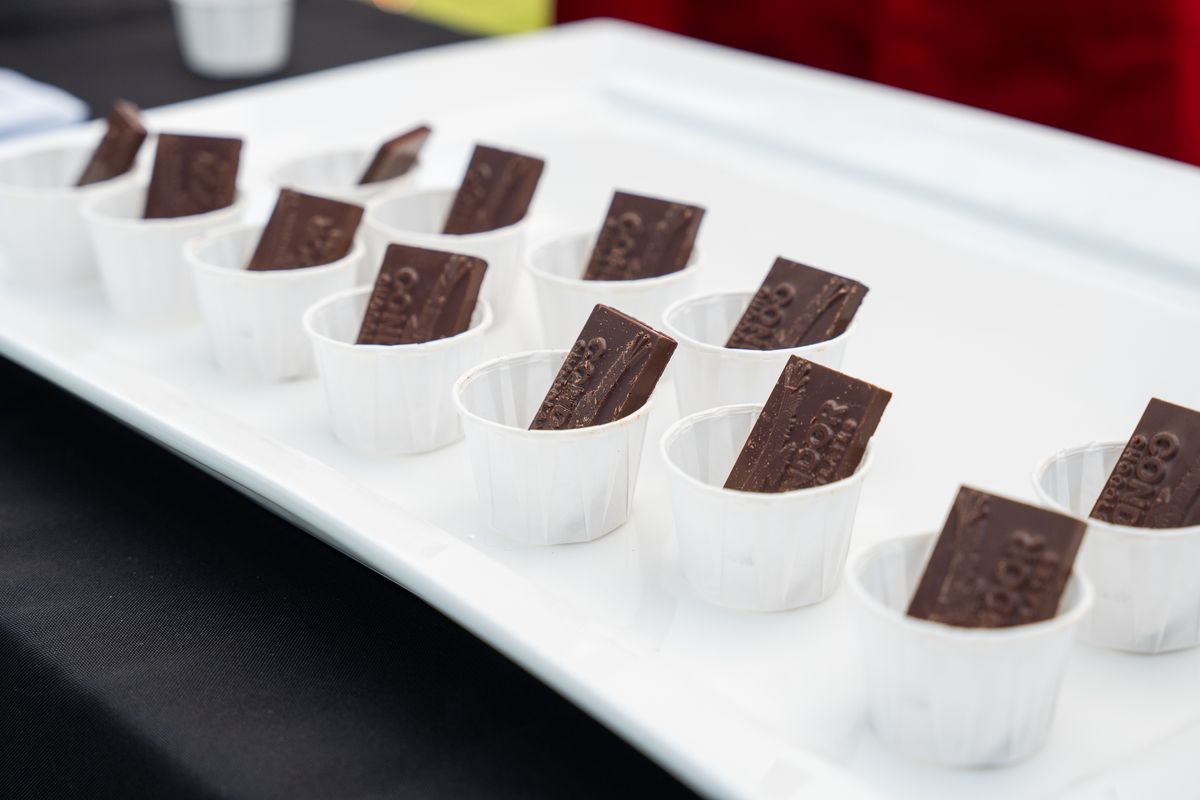 Chocolate tasting squares lined up on a white tray